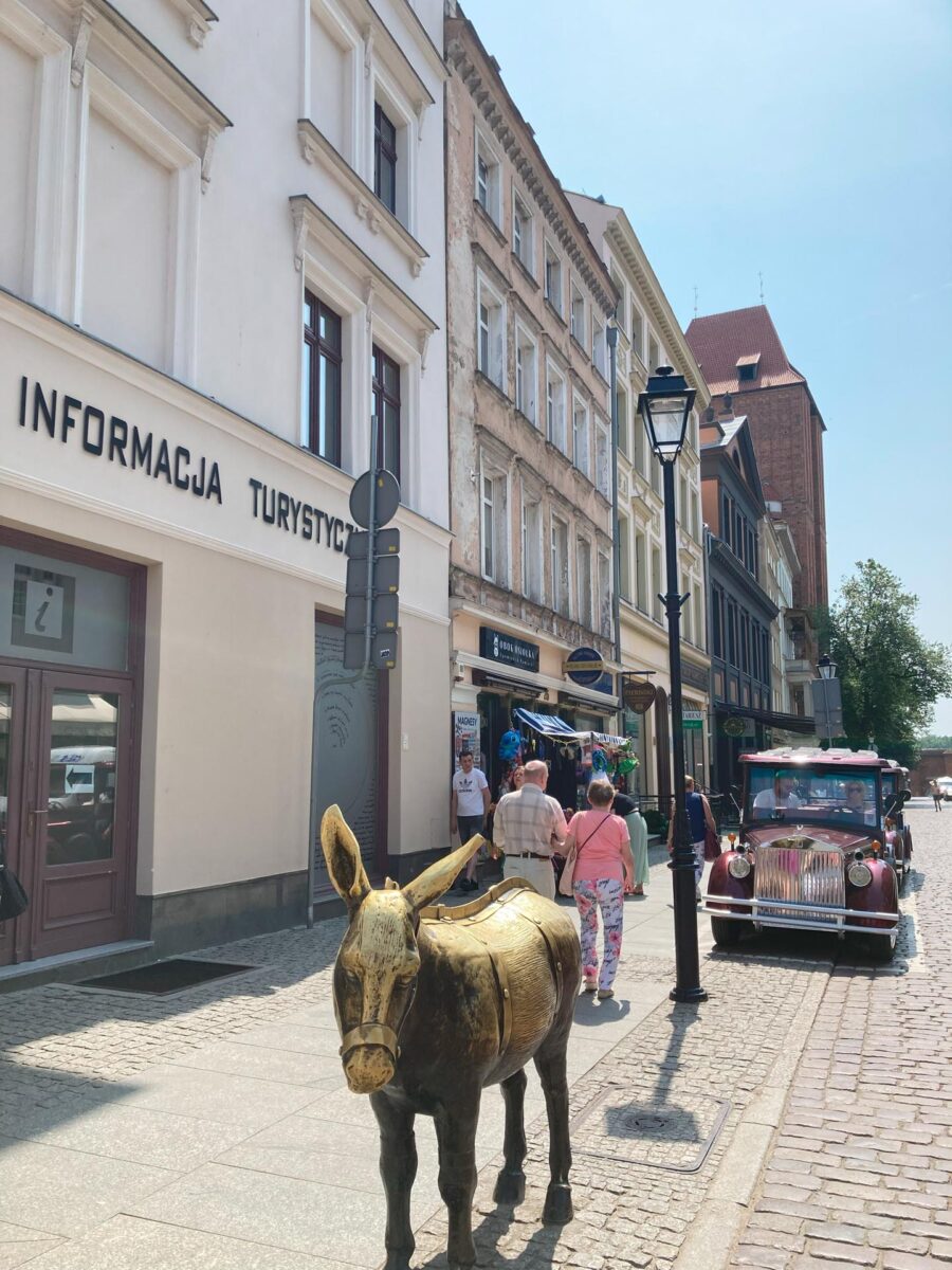 Donkey statue in Toruń