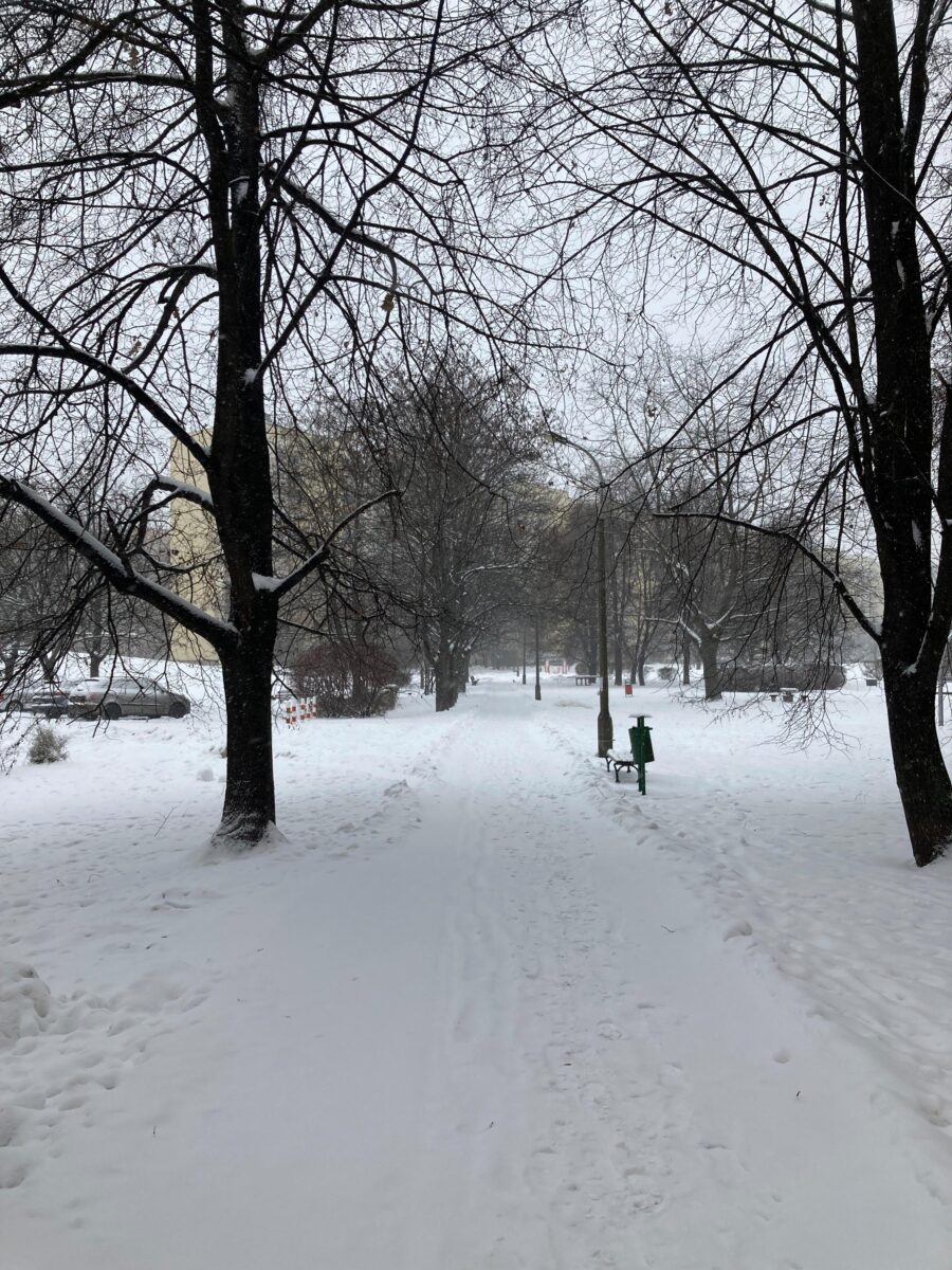 Warsaw park in winter