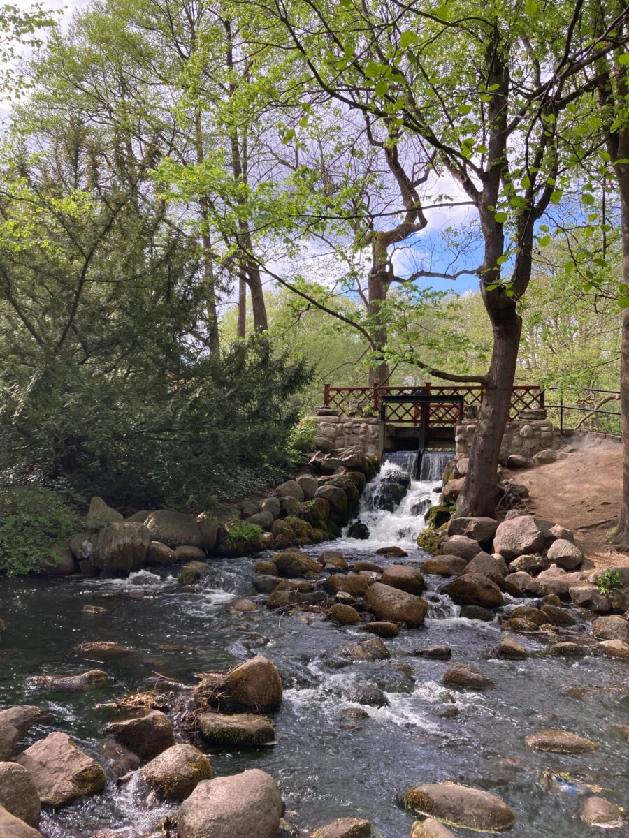 Inside Oliwski Park