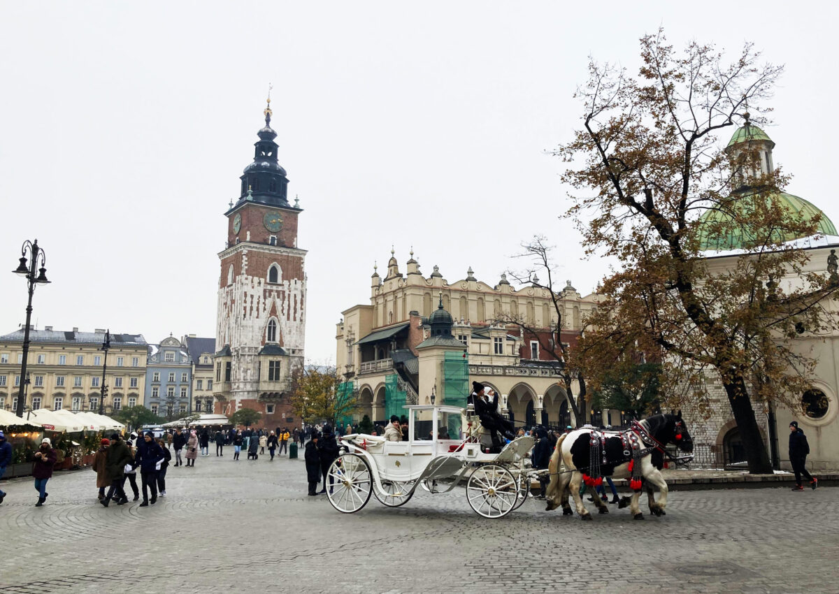 The market square of Krakow with horses
