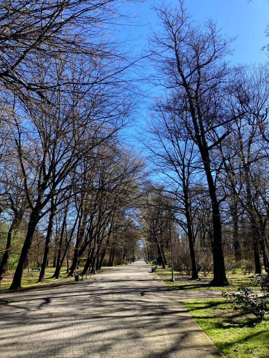 Kosciuszko Park in Katowice